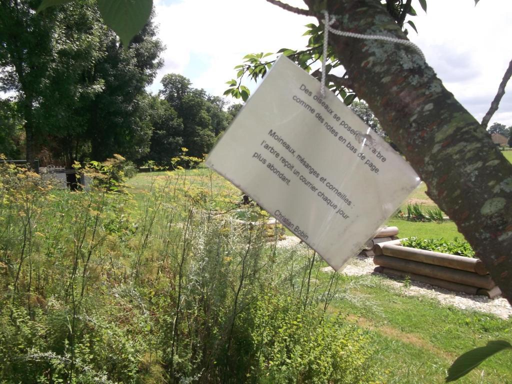 Chateau-Hotel De Nieuil Dış mekan fotoğraf
