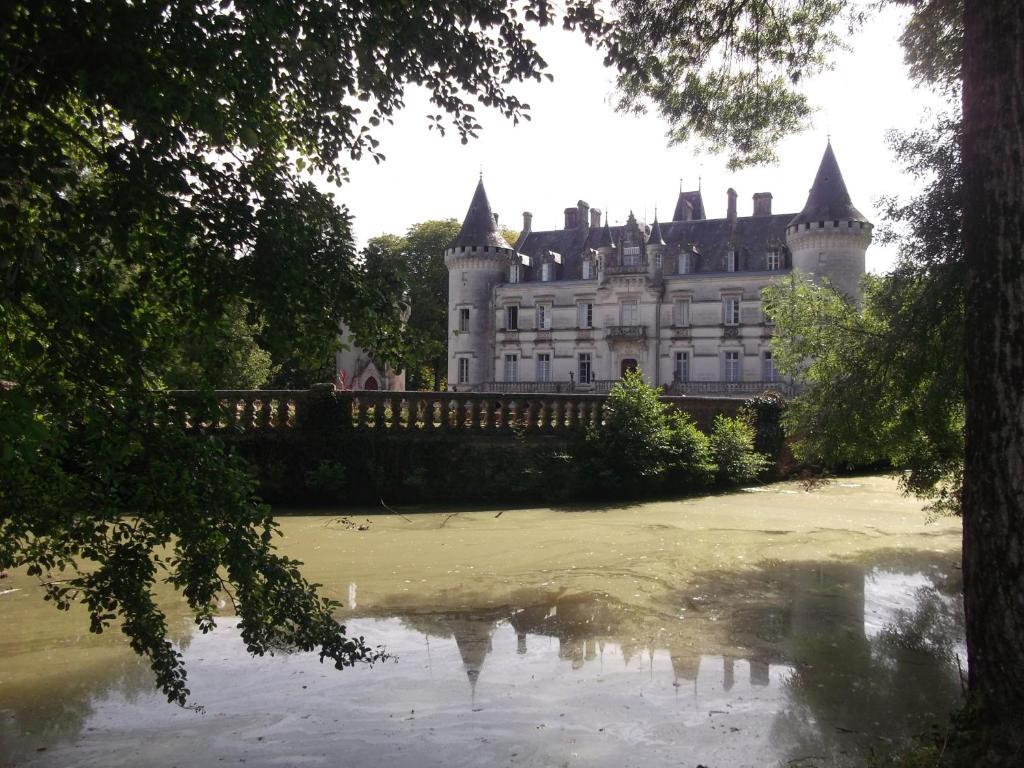 Chateau-Hotel De Nieuil Dış mekan fotoğraf